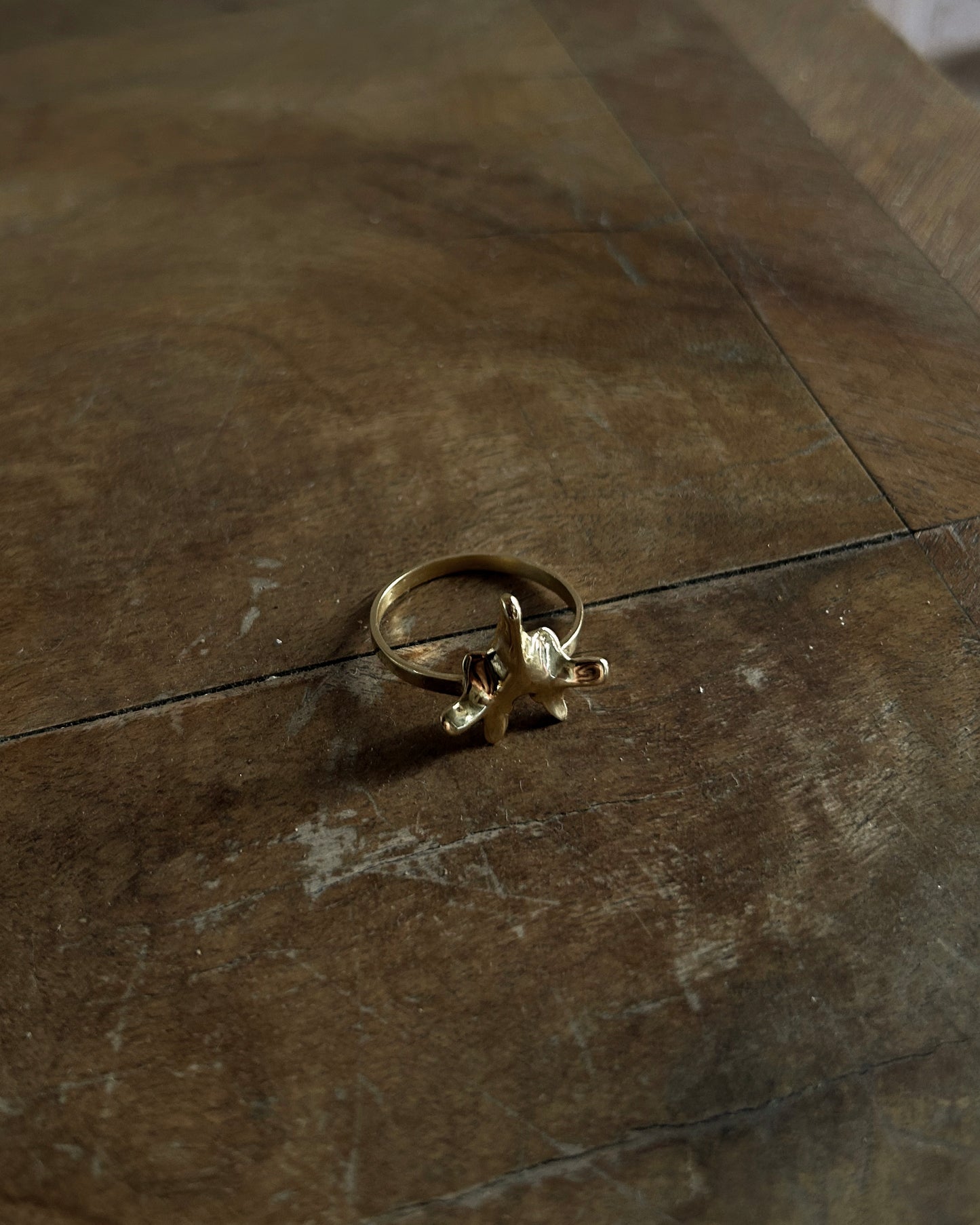 ANELLO "SPINE SOLUM"