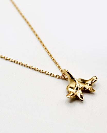 COLLANA "SPINE SOLUM"