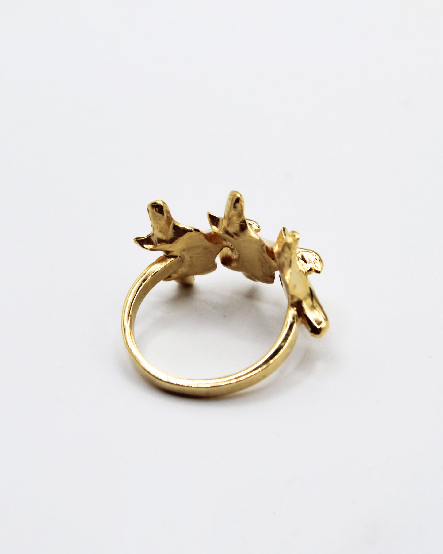 ANELLO "SPINE TRIUM"