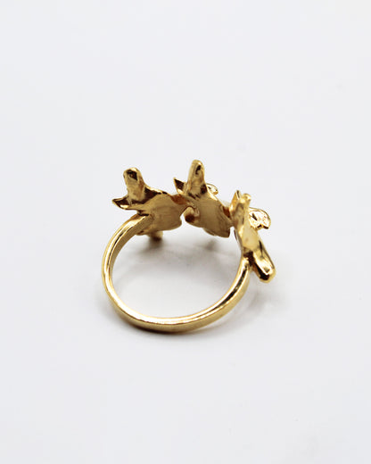 ANELLO "SPINE TRIUM"