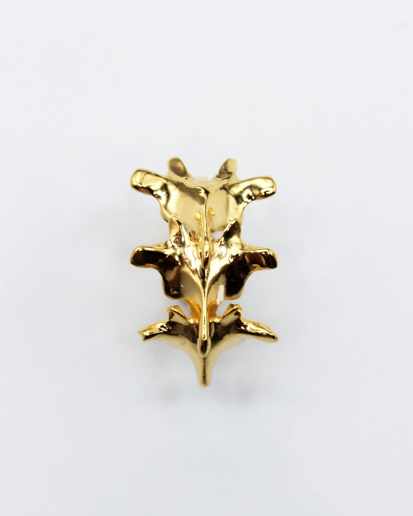 ANELLO "SPINE TRIUM"