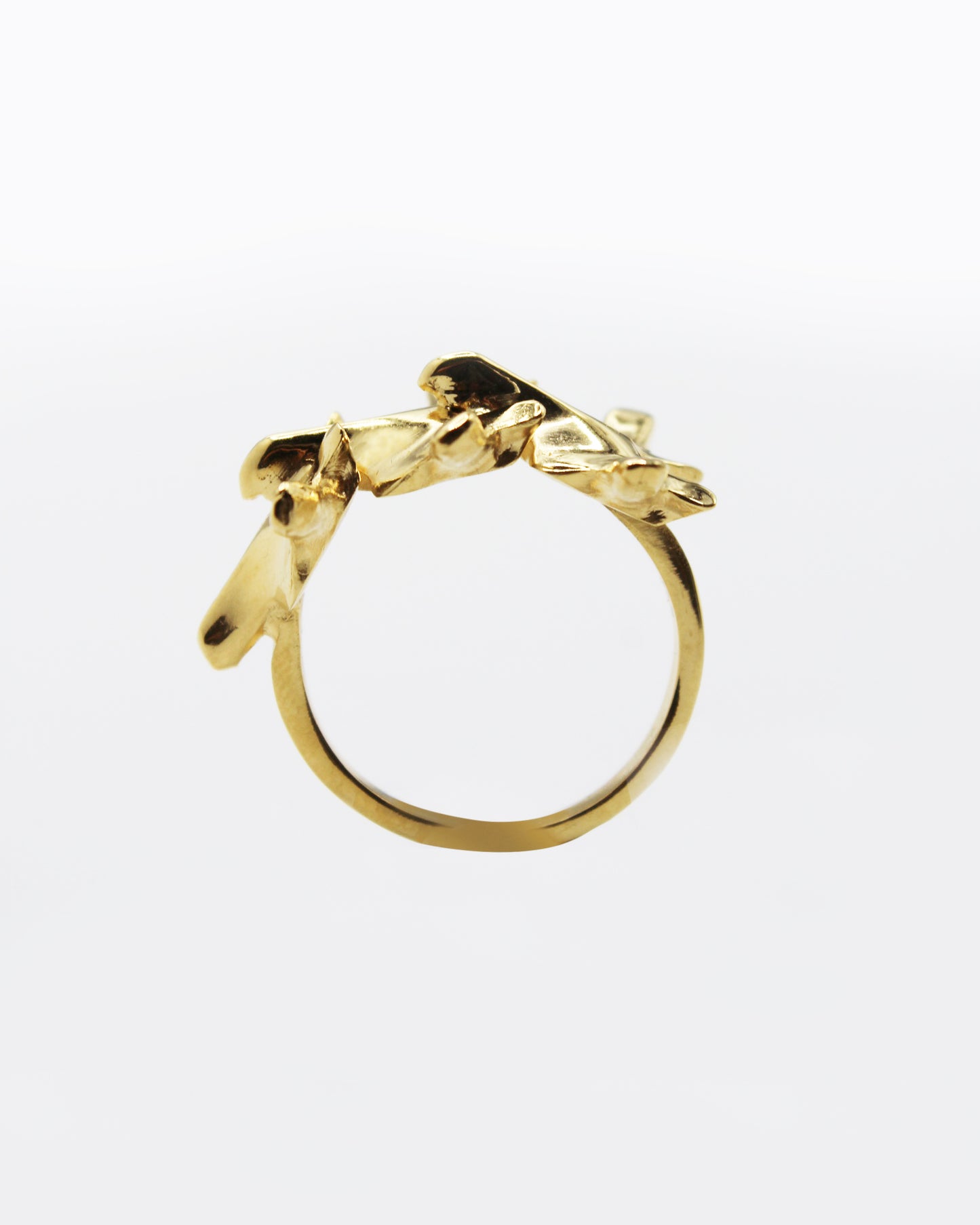 ANELLO "SPINE TRIUM"