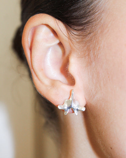 ORECCHINI “SPINE SOLUM”