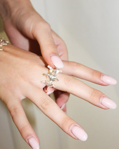 ANELLO "SPINE TRIUM"