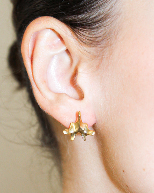 ORECCHINI “SPINE SOLUM”