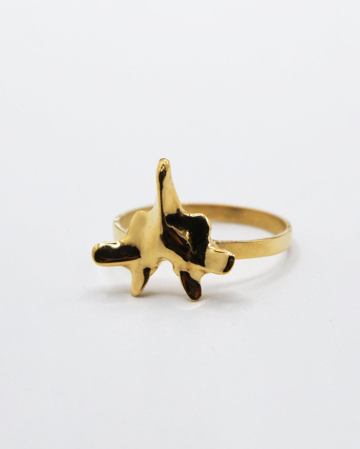 ANELLO "SPINE SOLUM"