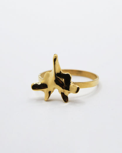 ANELLO "SPINE SOLUM"