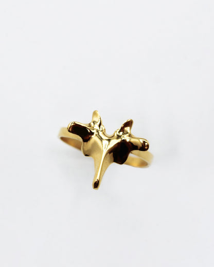 ANELLO "SPINE SOLUM"
