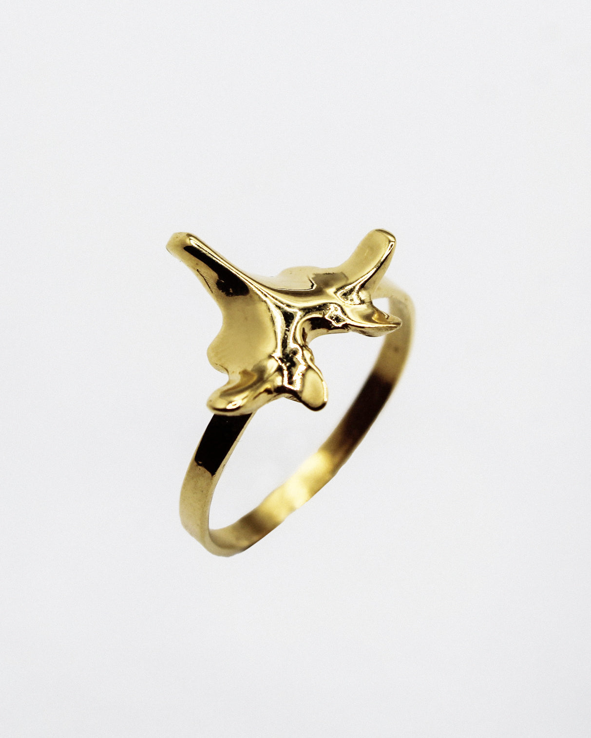 ANELLO "SPINE SOLUM"