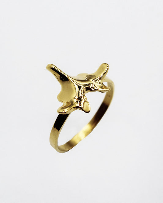 ANELLO "SPINE SOLUM"