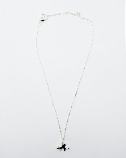 COLLANA "SPINE SOLUM"