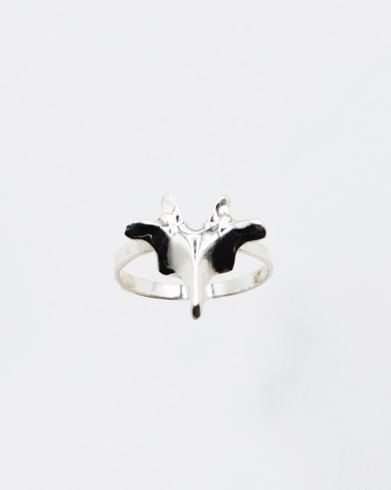 ANELLO "SPINE SOLUM"