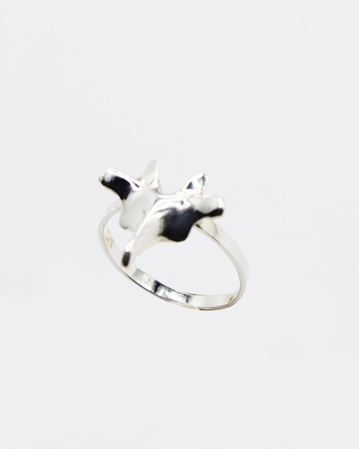 ANELLO "SPINE SOLUM"