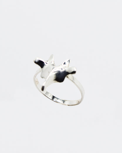 ANELLO "SPINE SOLUM"
