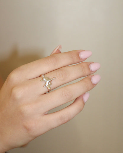 ANELLO "SPINE SOLUM"