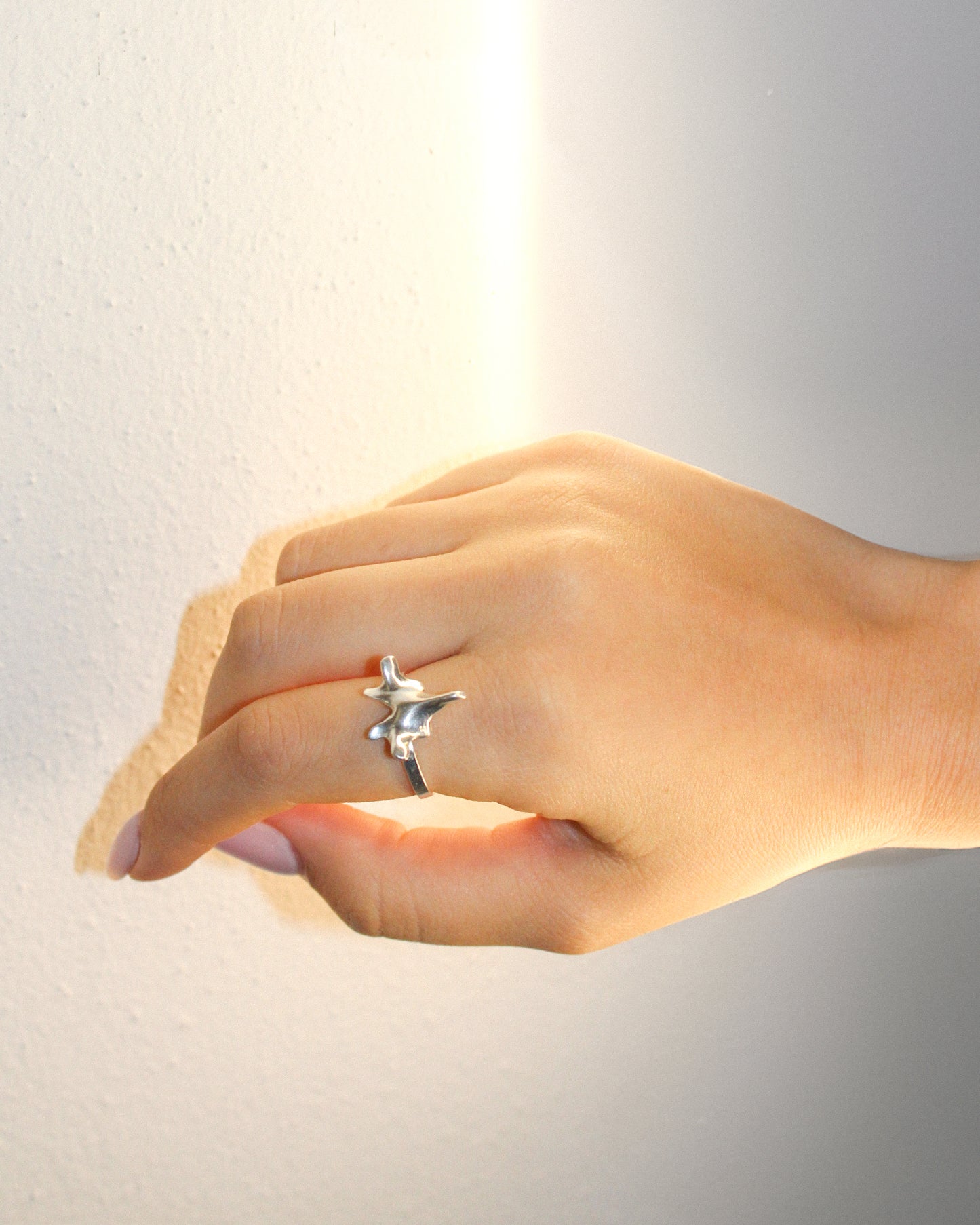 ANELLO "SPINE SOLUM"