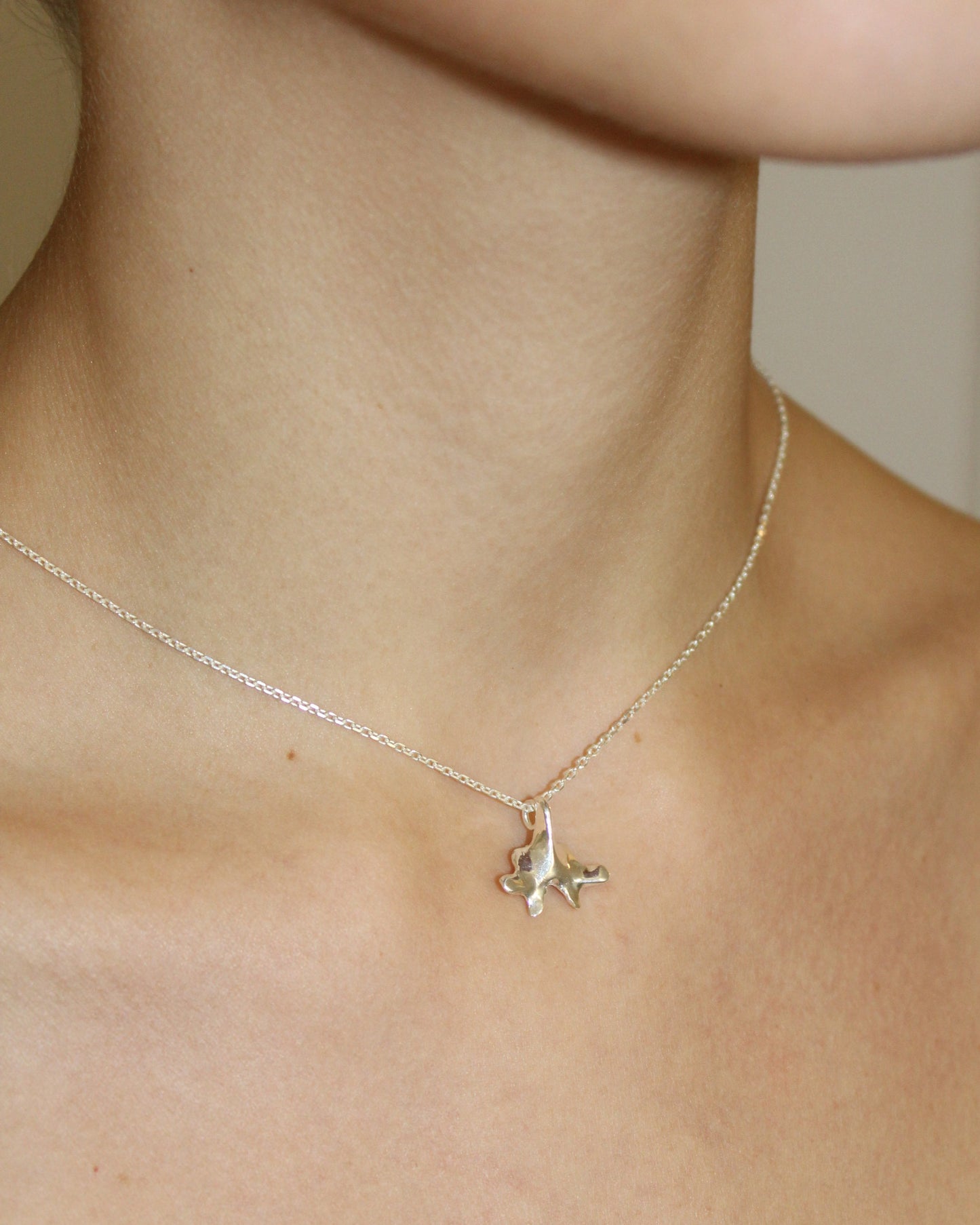 COLLANA "SPINE SOLUM"