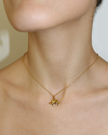 COLLANA "SPINE SOLUM"